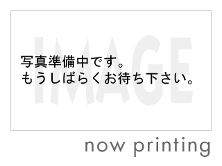 BR[giQ O